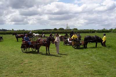 The Icecream stop